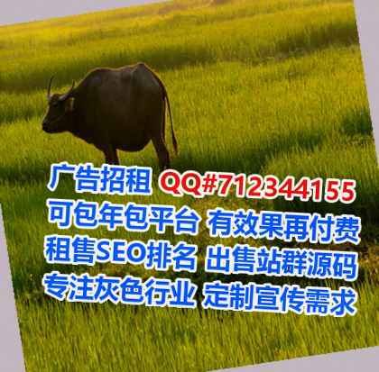 四川孕母信息技术事务所